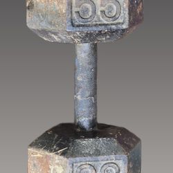 55lbs Dumbbell Just One