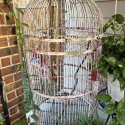 Giant Vintage Bird Cage