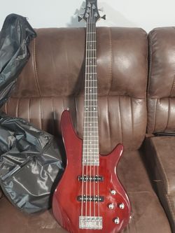 5 String Bass Guitar