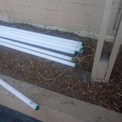 Free 8' Florescent Bulbs