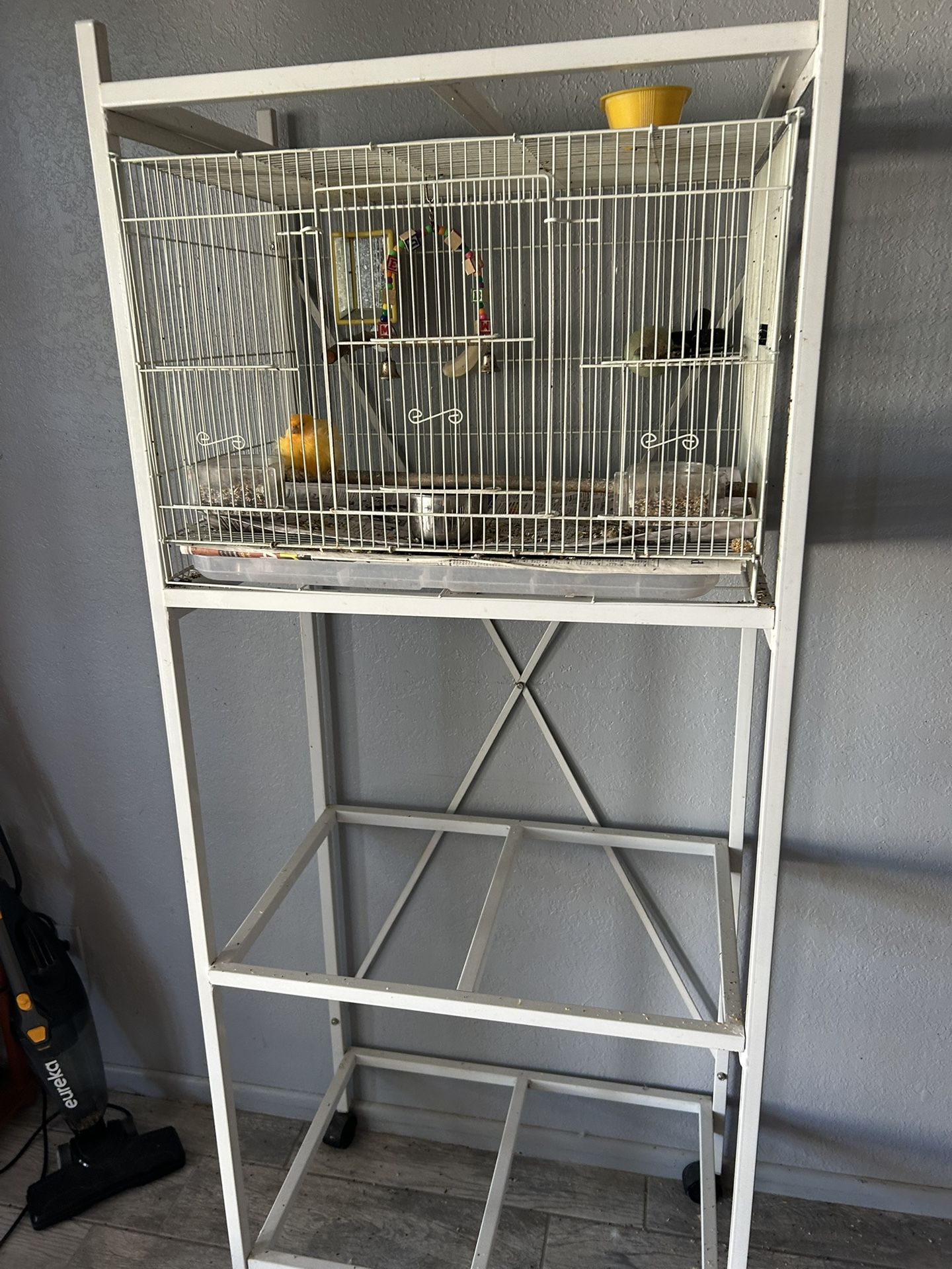 One Canary Cage