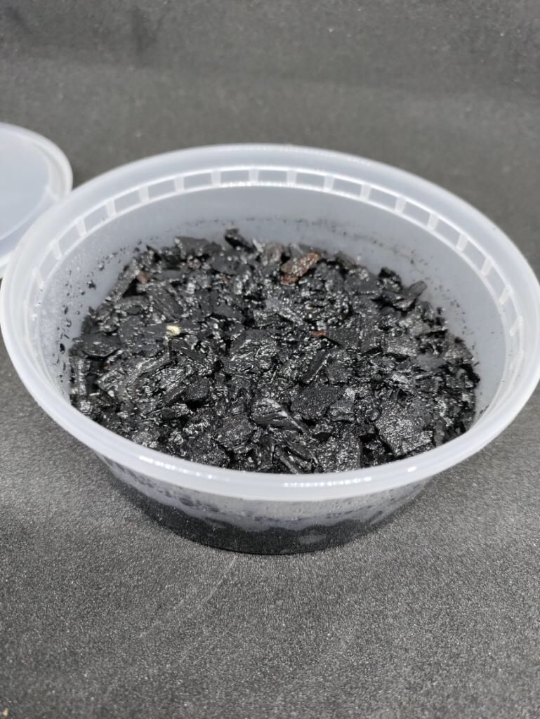Springtail Cultured Charcoal