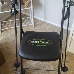 Chair Gym With Chair Gym Twister And Printed Exercise Guide