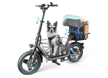 Gyroor C1plus electric scooter