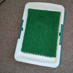 Indoor Doggy Pad