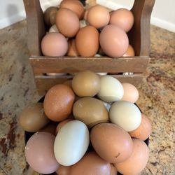 Free Range Farm Fresh Eggs