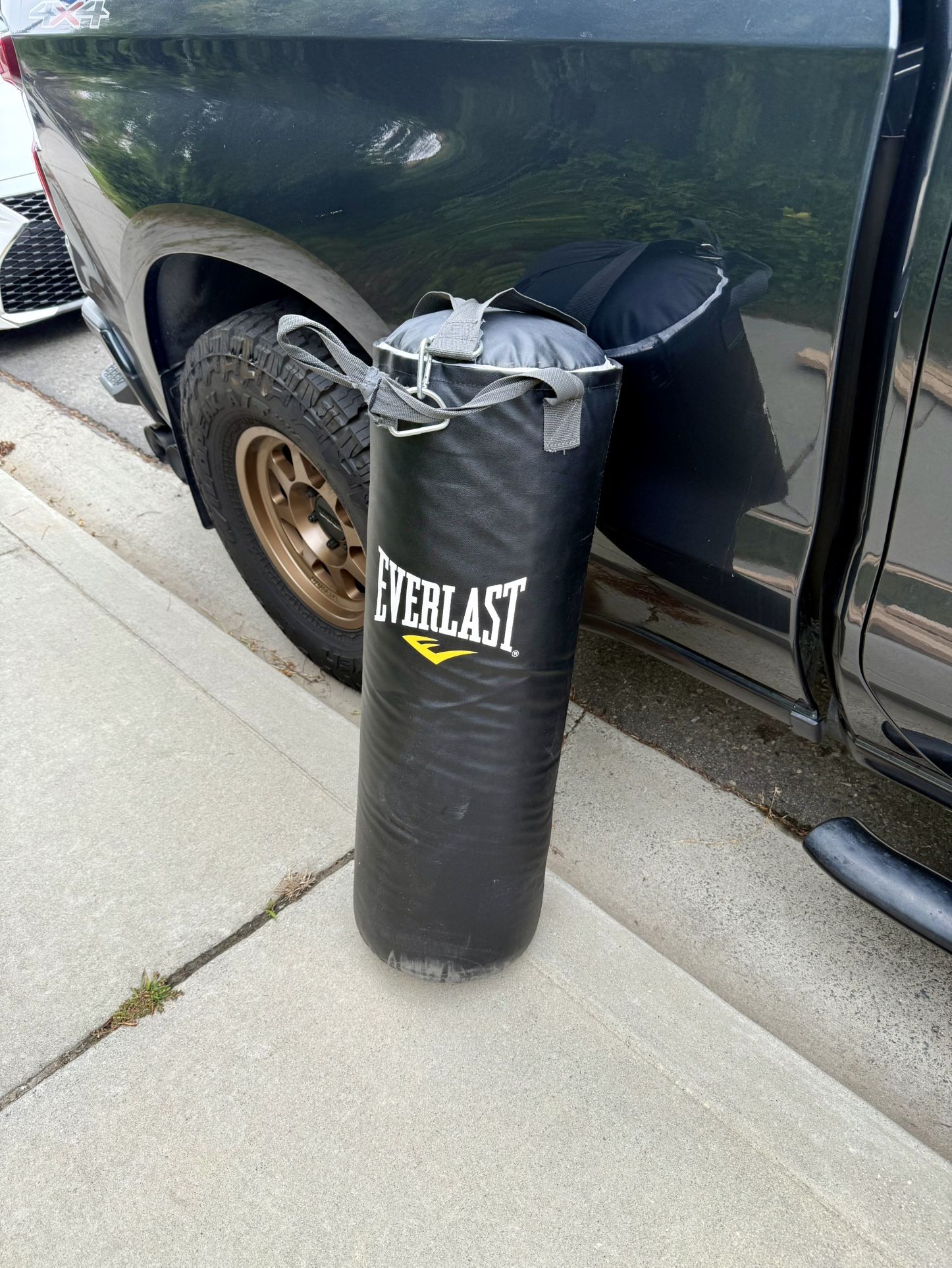 Everlast 75 lb Heavy Punching Bag – Gently Used – $70