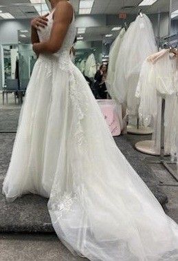 David's Bridal Gown