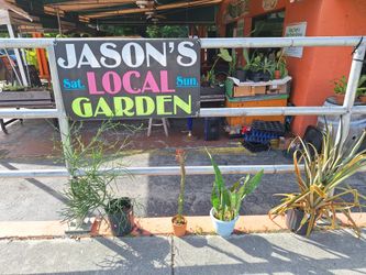 11/24-26 Weekend Selection At Jason's Local Garden Located At New River Grove In Davie 