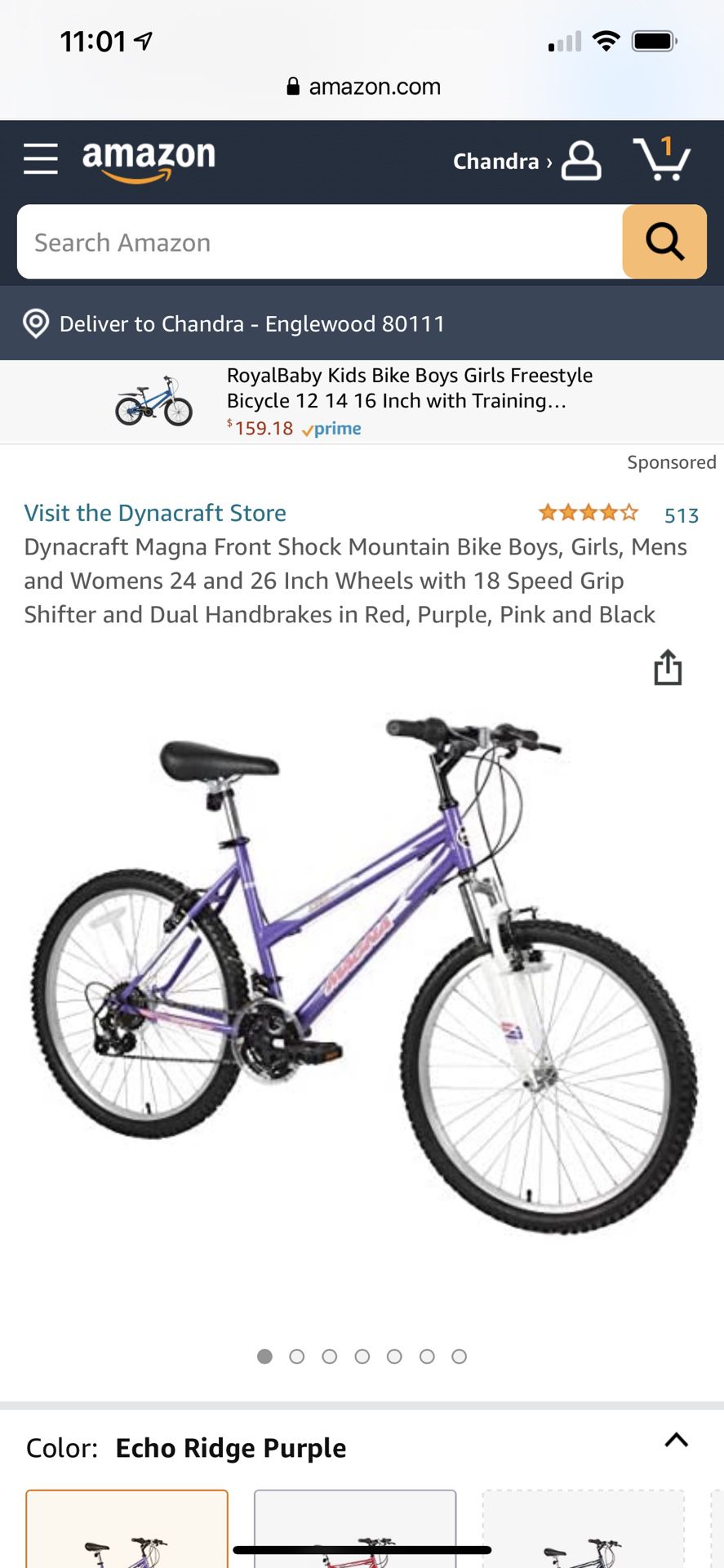 Girls  Magna Great Divide All Gray Bike 21 Speed 