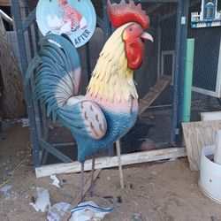 5 Feet Rooster