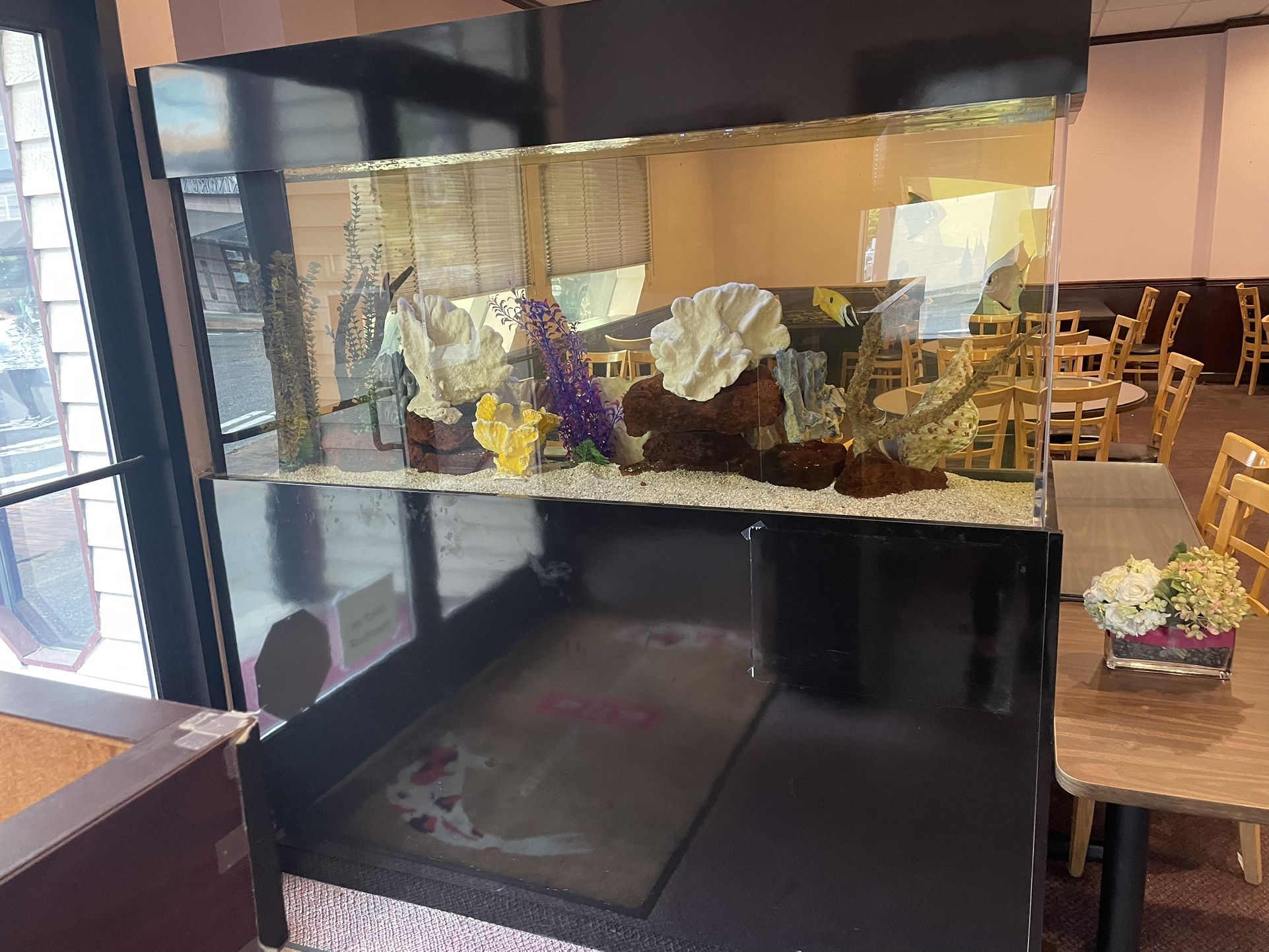 200 Gallon Acrylic Fish Tank W/ Motor