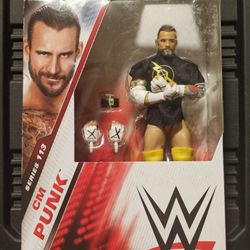 CM PUNK