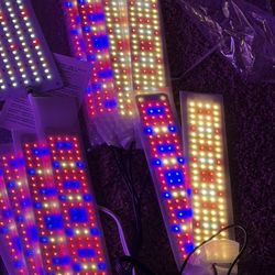 Led Grow , Under  The Counter/Shelving Lights. These Lights Are Great. You Can Plug Them In Anywhere With A Usb Connection And Your Car Battery d.