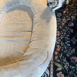 Dog Bed/ human Bed/buddy Bed