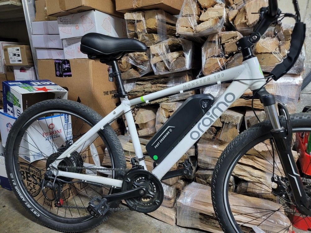 Electric Bike
