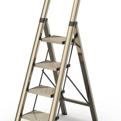4 Step Ladder