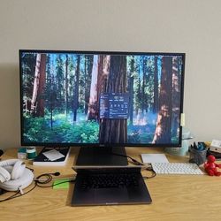 Dell 43" 4k IPS Multi-client Monitor P4317Q