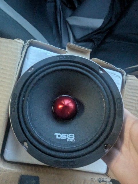 DS18 Pro 500watt 6.5" (2) And 3000Watt AMP