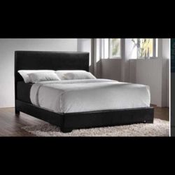 Queen Bed For Only $245