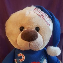 Rudolph The Red Nose Reindeer Sweater Bear Plush Stuffed Animal Teddy Bear 18"   Xmas H