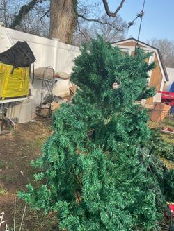 A 4ft Full , Green Christmas Tree, Just Beautiful (NO SHIPPING)