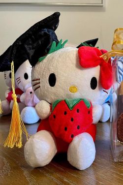 Graduation Hello Kitty Plush Doll