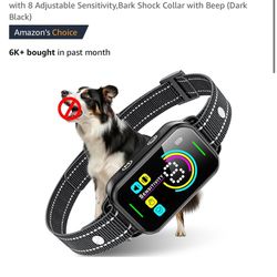 Shock Collar Dog