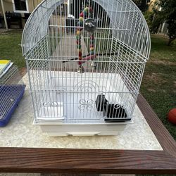 Bird Cage 