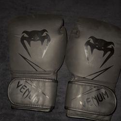 Venum Boxing Gloves