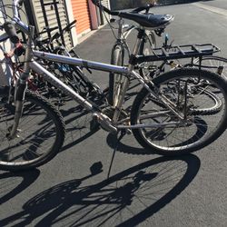 Diamond Back Wildwood Mountain Bike