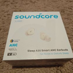 Soundcore Sleep A30 Earbuds