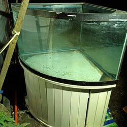 Glass Aquarium
