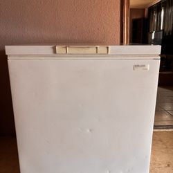 kirkland deep freezer 