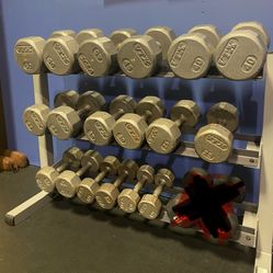 Dumbbells set 10lbs - 50lbs + Rack