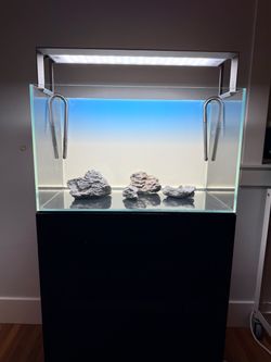 ADA 60cm Rimless Aquarium fish tank + AQUASKY RGB + Light Screen + Stand