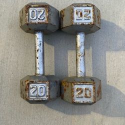 20lbs Weights