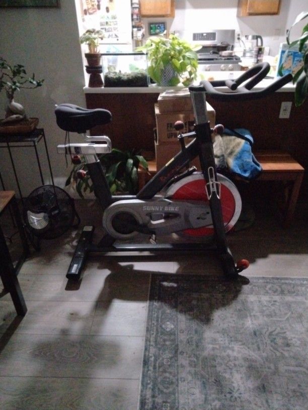 Sunny Spin Bike