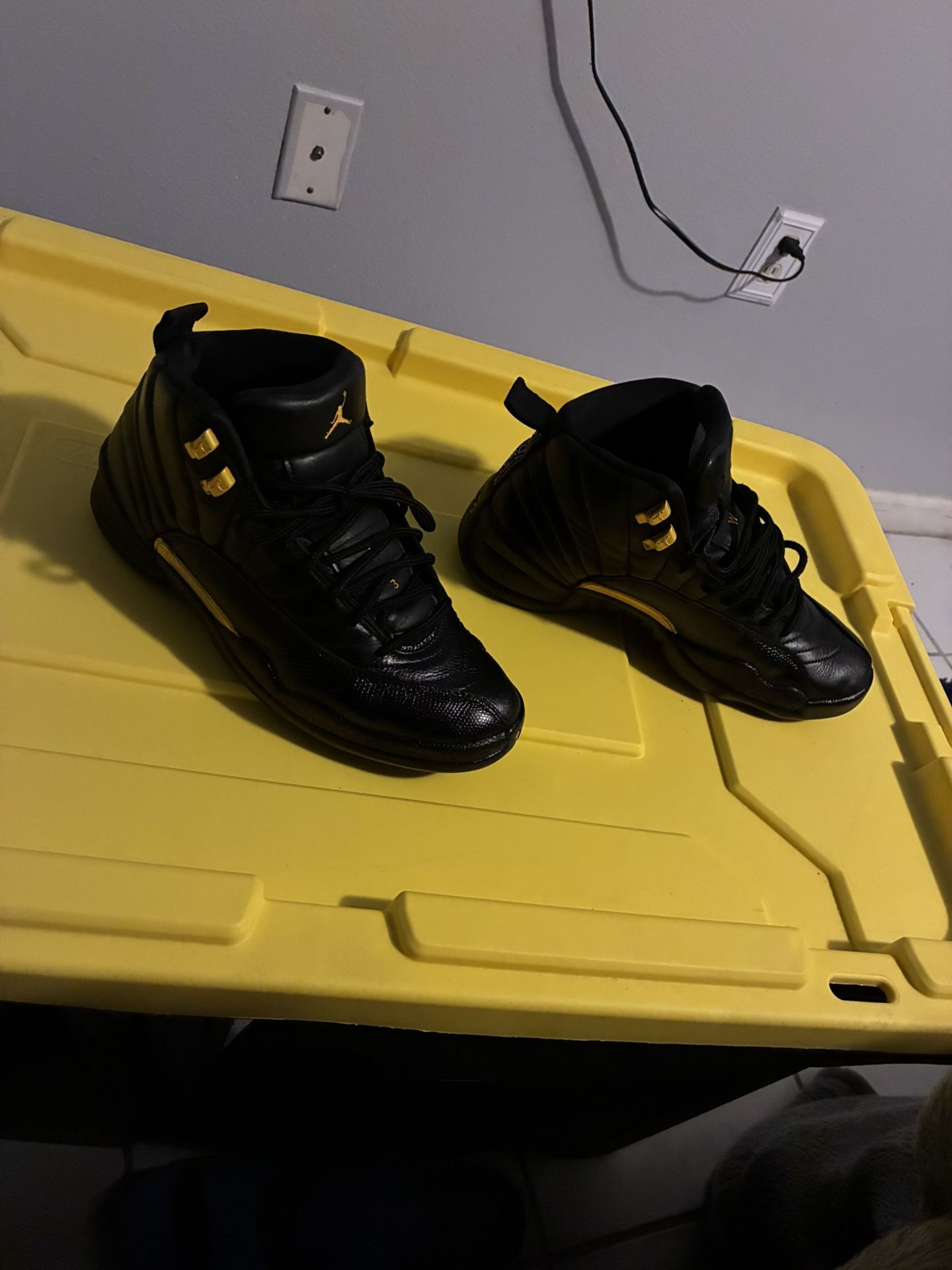 Retro Jordan 12s