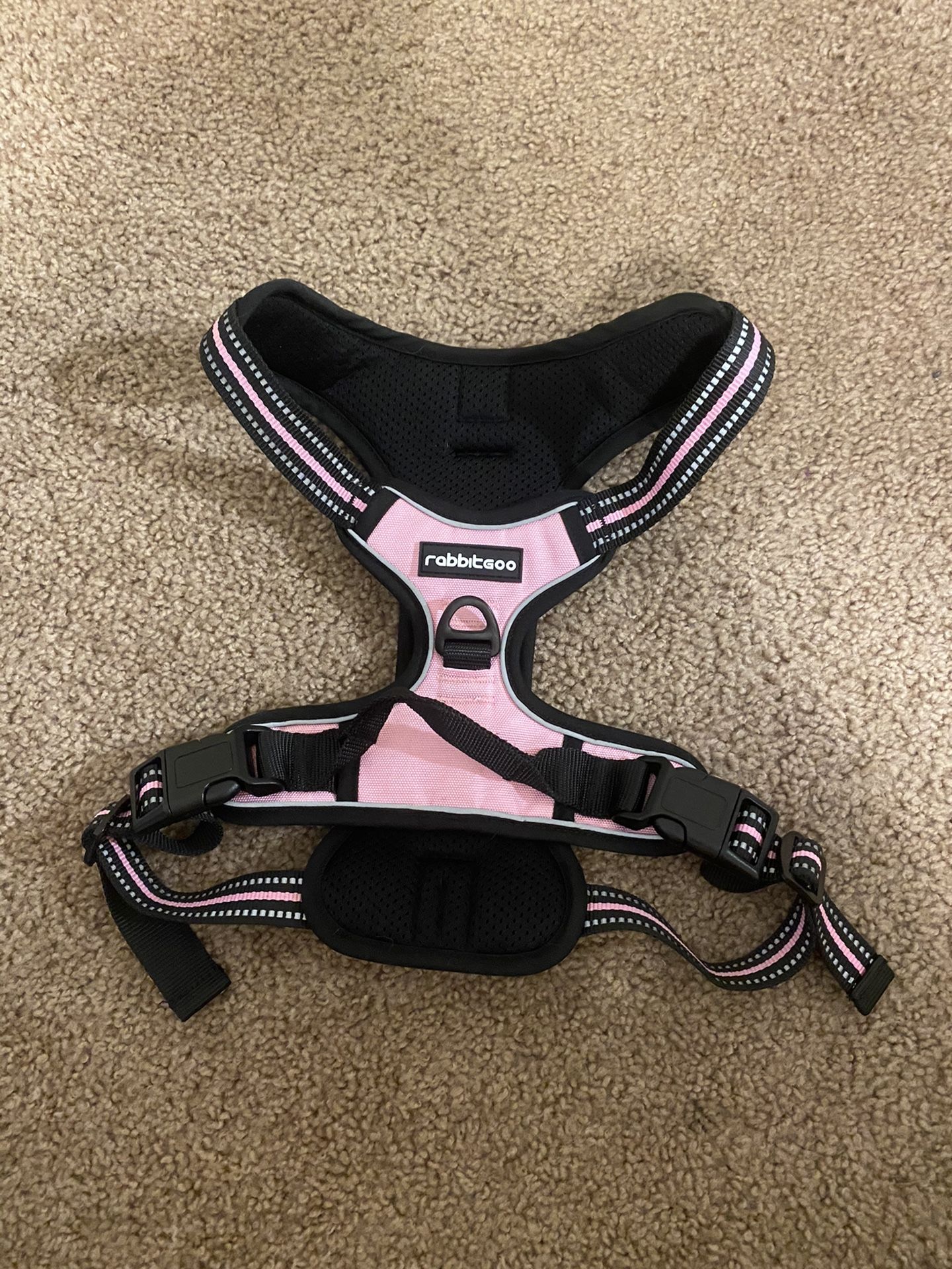 Dog Harness