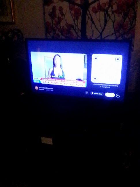 32" Vizio Smart T.V with Remote