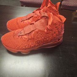 Lebron 17 "RED CARPET" size 10 Mens