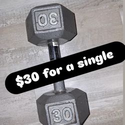 30lb Single Dumbell 