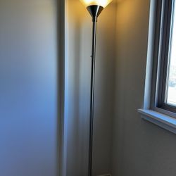 Floor Lamps (Set of 2) - Target