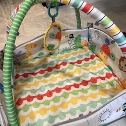 Play Activity + Baby Bouncer