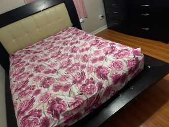CAMA QUEEN CON GAVETERO INCLUDL