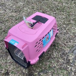 Kennel 
