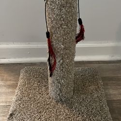 Cat Scratch Post