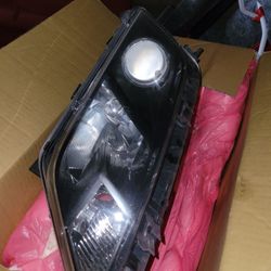 Fusion Headlights 