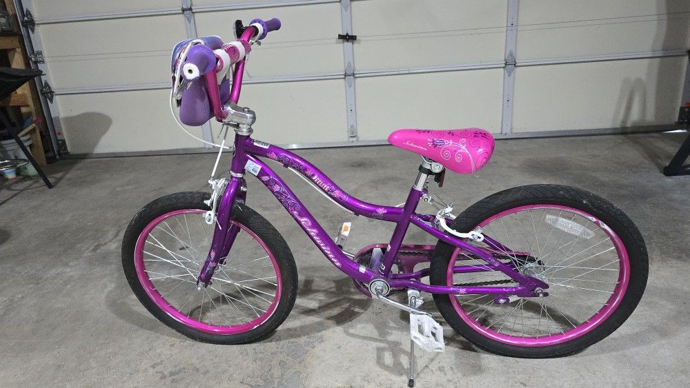 Schwinn Deelite 20" Bike